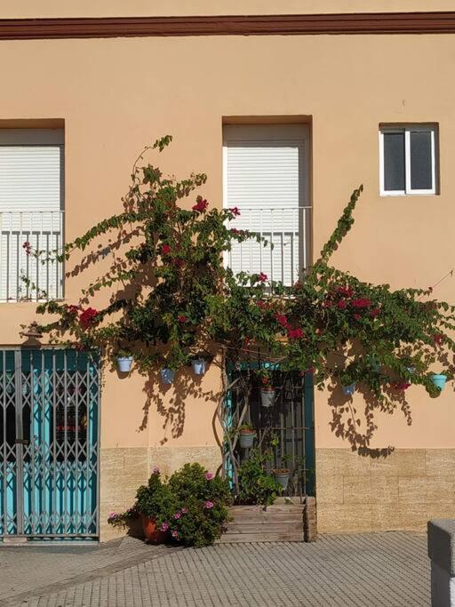 Apartamento Las Canastas Cadiz Centro Extérieur photo