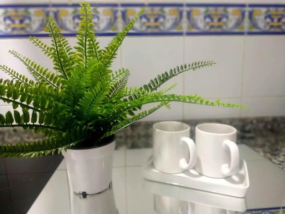 Apartamento Las Canastas Cadiz Centro Extérieur photo